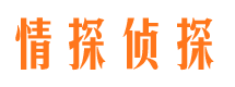 宛城外遇调查取证